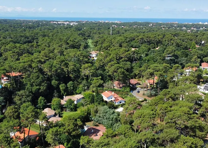 Villa Spacieuse A Hossegor Avec Piscine Chauffee - Fr-1-791-36